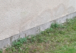 Mauerwerkstrockenlegung nasse Wand